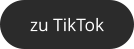 zu TikTok